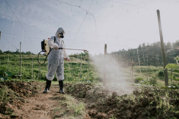 Pest Control Cost in Princeton, IN