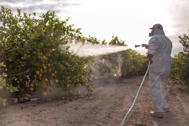 Best Local Pest Control Services  in Prceton, IN