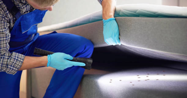 Best Pest Inspection Near Me  in Prceton, IN