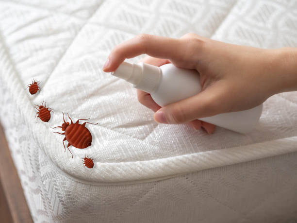 Best Emergency Pest Control  in Prceton, IN