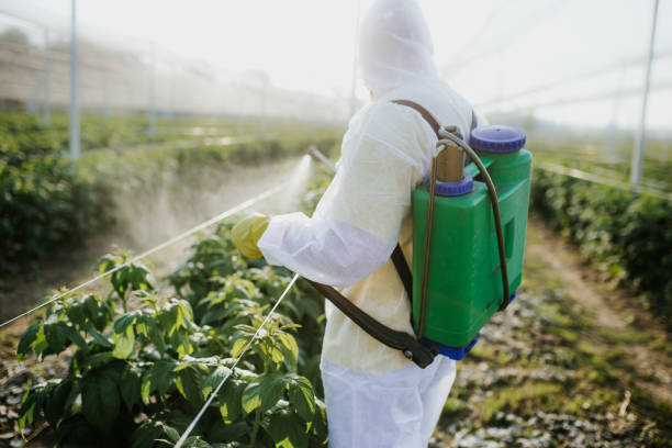Best Mosquito Control Services  in Prceton, IN